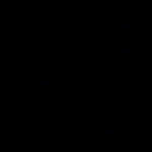 Meet your Posher, Isabel